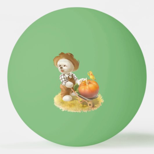Schattigee Boerenhond met Pompoen Pingpongbal (Voorkant)