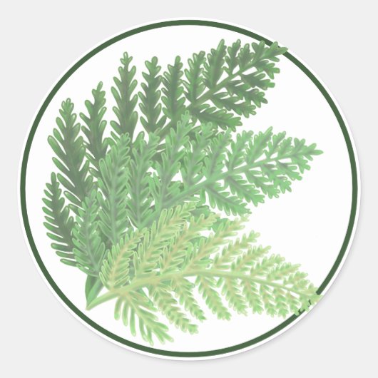 Schattigee boho Moss Green Fern Ronde Sticker (Voorkant)