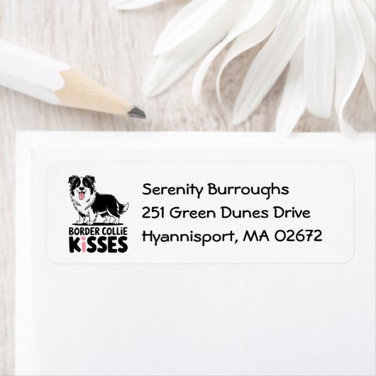 Schattigee Border Collie Kust Puppy Hondenliefhebb Etiket (Insitu)