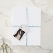 Schattigee Border Collie Puppy Hondenliefhebber Zw Cadeaulabel (Met Touw)