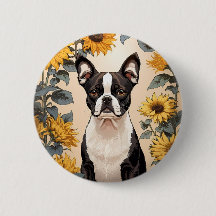Schattigee Boston Terrier gele zonnebloemen