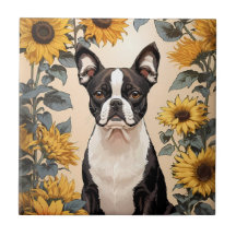 Schattigee Boston Terrier gele zonnebloemen