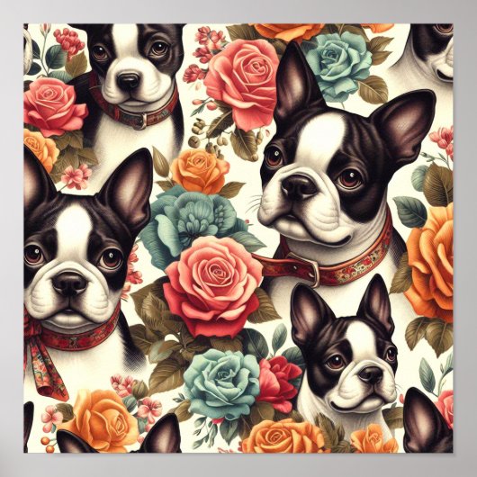 Schattigee Boston Terrier Illustratie Poster (Voorkant)