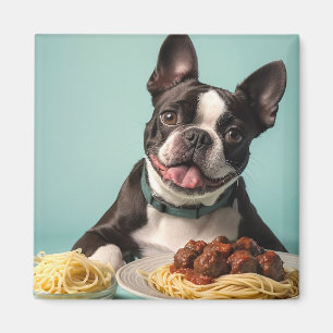 Schattigee Boston Terrier met Spaghetti Bolognaise Magneet