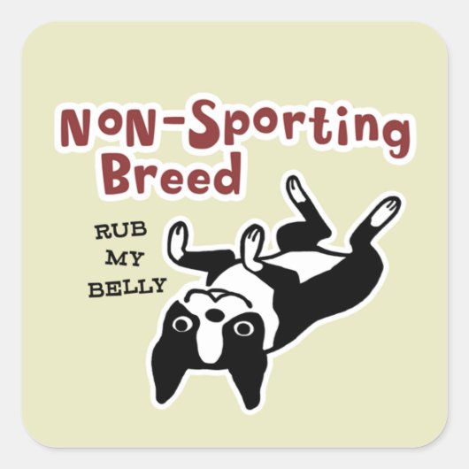 Schattigee Boston Terrier - Niet-sportief ras Vierkante Sticker (Voorkant)