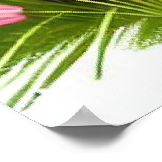 Schattigee Boston Terrier puppy spelen met vlinder Poster (Hoek)