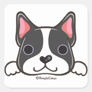 Schattigee Boston Terrier Sticker