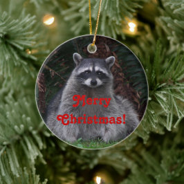 Schattigee boswasbeer kerst keramisch ornament