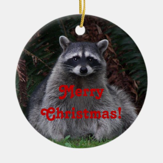 Schattigee boswasbeer kerst keramisch ornament (Voorkant)