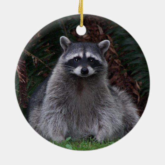 Schattigee boswasbeer kerst keramisch ornament (Achterkant)