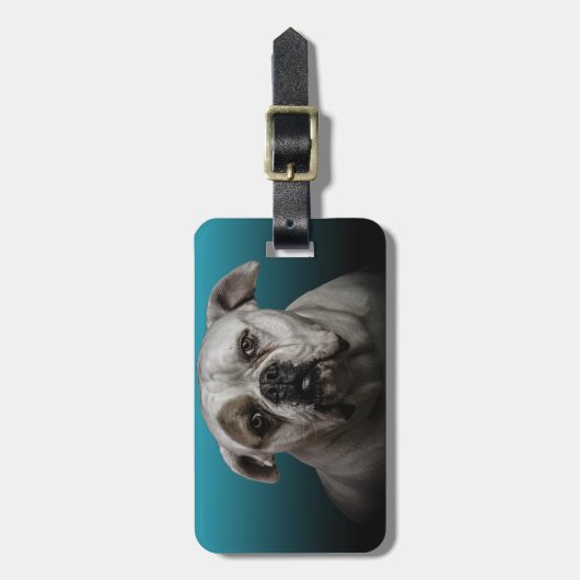 Schattigee Boxer Dog w Blue Black Gradient achterg Bagagelabel (Voorkant verticaal)