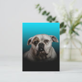 Schattigee Boxer Dog w Blue Black Gradient achterg Briefkaart (Staand voorkant)