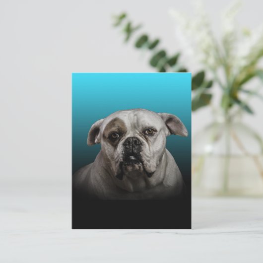 Schattigee Boxer Dog w Blue Black Gradient achterg Briefkaart (Staand voorkant)