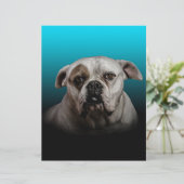 Schattigee Boxer Dog w Blue Black Gradient achterg Custom Briefhoofd (Staand voorkant)