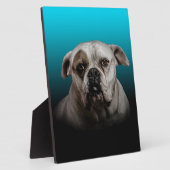 Schattigee Boxer Dog w Blue Black Gradient achterg Fotoplaat (Zijkant)
