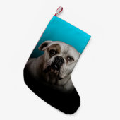 Schattigee Boxer Dog w Blue Black Gradient achterg Kleine Kerstsok (Voorkant (Hangend))