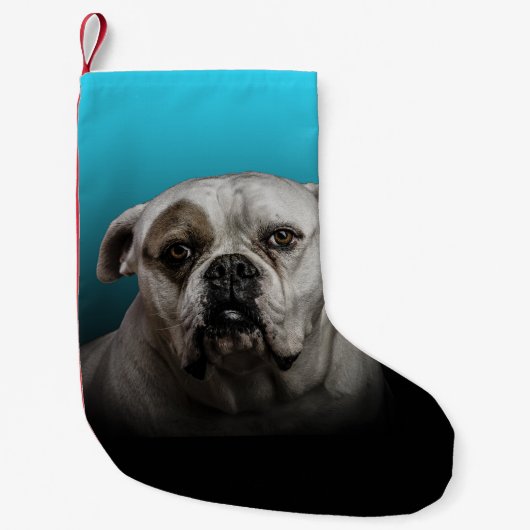Schattigee Boxer Dog w Blue Black Gradient achterg Kleine Kerstsok (Voorkant)