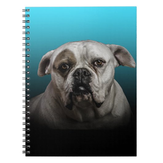 Schattigee Boxer Dog w Blue Black Gradient achterg Notitieboek (Voorkant)