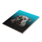 Schattigee Boxer Dog w Blue Black Gradient achterg Tegeltje (Zijkant)