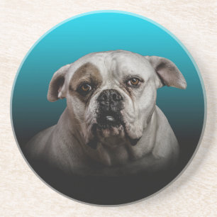 Schattigee Boxer Dog w Blue Black Gradient achterg Zandsteen Onderzetter