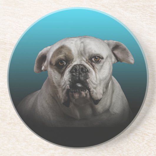 Schattigee Boxer Dog w Blue Black Gradient achterg Zandsteen Onderzetter (Voorkant)