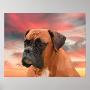 Schattigee Boxer Dog Water Kleur Olieverfschilderi Poster