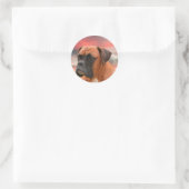 Schattigee Boxer Dog Water Kleur Olieverfschilderi Ronde Sticker (Tas)