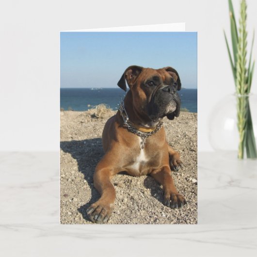 Schattigee Boxer Dog Wenskaart Kaart (Voorkant)