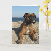 Schattigee Boxer Dog Wenskaart Kaart (Gele Bloem)
