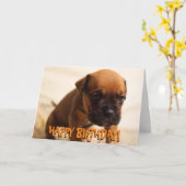 Schattigee boxer puppy verjaardagskaart kaart (Gele Bloem)