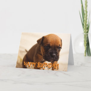Schattigee boxer puppy verjaardagskaart kaart