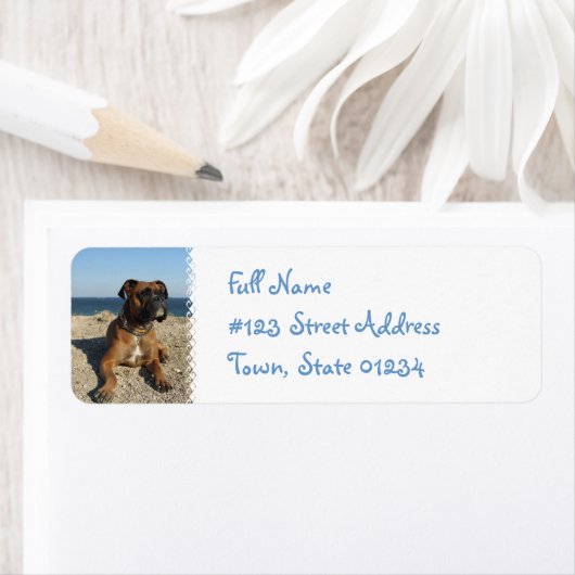 Schattigee Boxer retour adreslabel Etiket (Insitu)