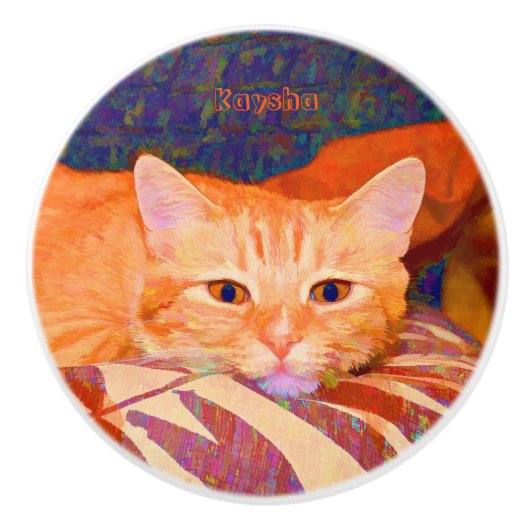 Schattigee Bright Sinaasappel Tabby Cat Keramische Knop (Voorkant)