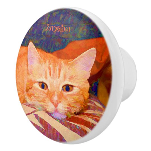 Schattigee Bright Sinaasappel Tabby Cat Keramische Knop (Rechts)