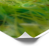 Schattigee Britse Korthaar Kittens in de tuin Perfect Poster (Hoek)