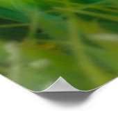 Schattigee Britse Korthaar Kittens in de tuin Poster (Hoek)