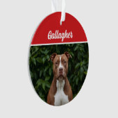 Schattigee Brown Pit Bull Dog Vakantie Kerstfoto Ornament (voorkant)