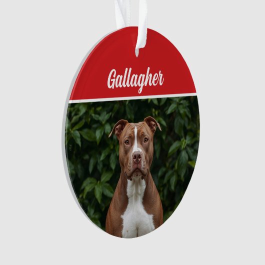 Schattigee Brown Pit Bull Dog Vakantie Kerstfoto Ornament (voorkant)