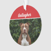 Schattigee Brown Pit Bull Dog Vakantie Kerstfoto Ornament (voorkant)