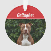 Schattigee Brown Pit Bull Dog Vakantie Kerstfoto Ornament (voorkant)