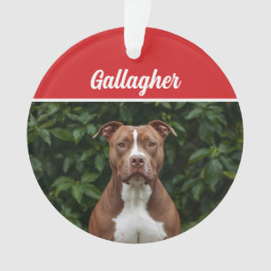 Schattigee Brown Pit Bull Dog Vakantie Kerstfoto Ornament