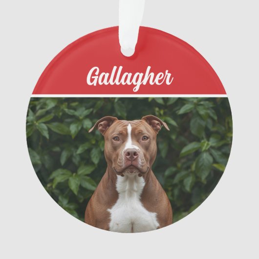 Schattigee Brown Pit Bull Dog Vakantie Kerstfoto Ornament (voorkant)