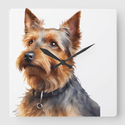 SCHATTIGEE BRUINE EN GRIJZE AUSTRALISCHE TERRIER D VIERKANTE KLOK (Voorkant)