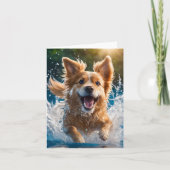 Schattigee Bruine en Witte Hond die in Waterspleet Kaart (Voorkant)