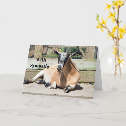 Schattigee Bruine Geit Slaap Foto Sympathie Kaart (Gele Bloem)