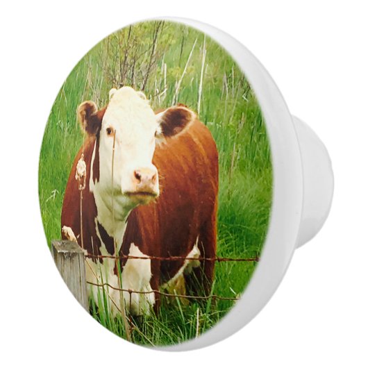 Schattigee Bruine Koe 4Jojo Keramische Knop (Rechts)