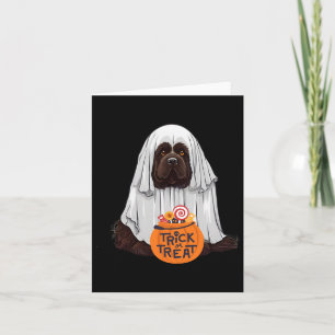 Schattigee Bruine Newfoundlander Hond Halloween Kaart