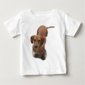 Schattigee bruine teckel (Voorkant)