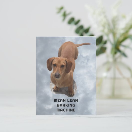Schattigee bruine teckel blafmachine briefkaart (Staand voorkant)