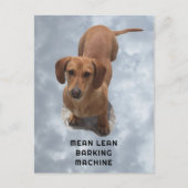 Schattigee bruine teckel blafmachine briefkaart (Voorkant)